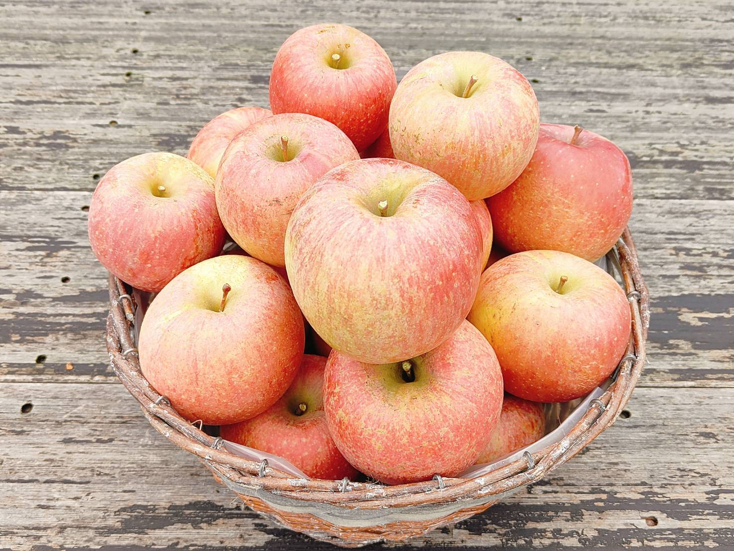 木下りんご園 リンゴ籠盛り