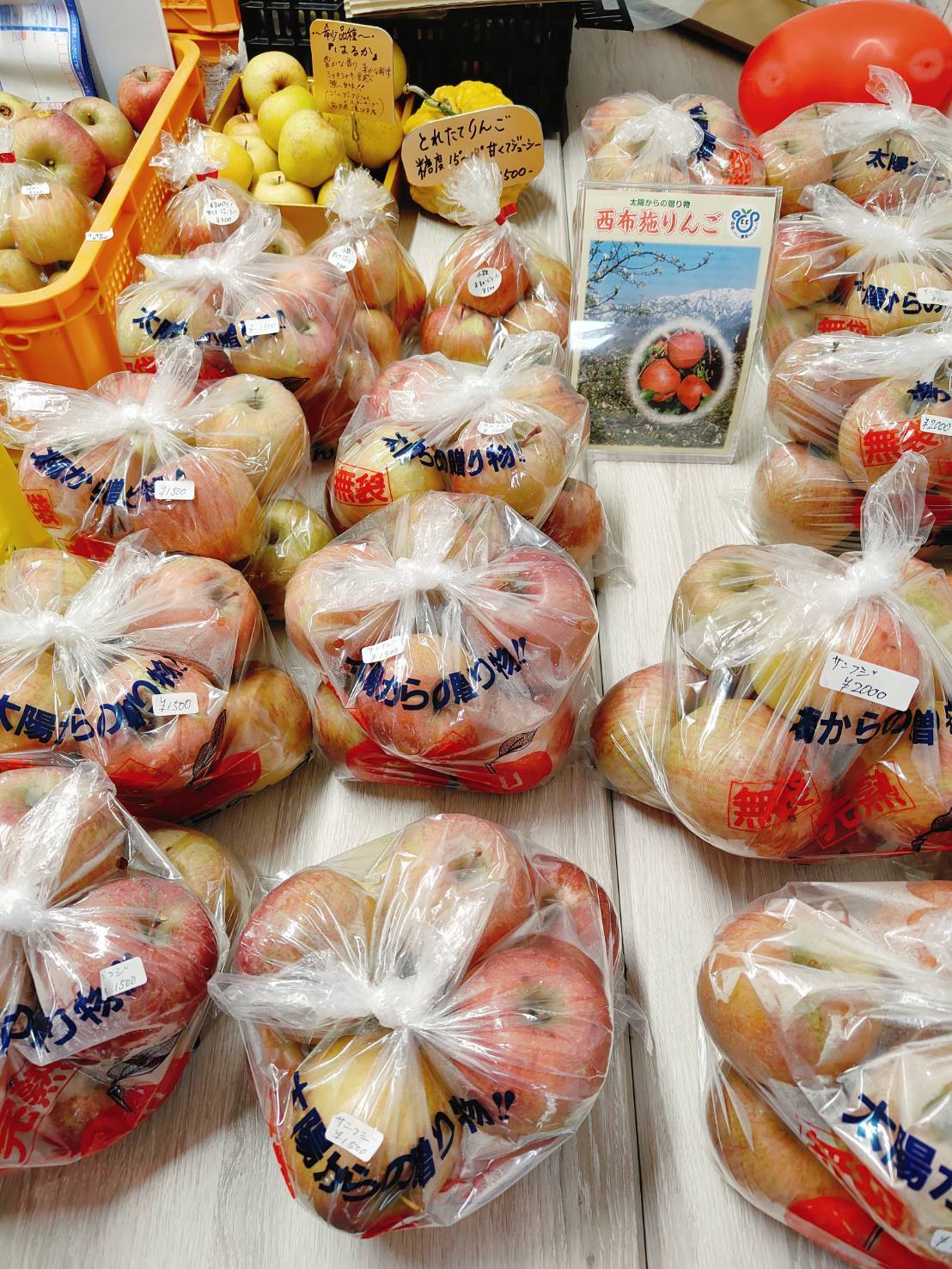 木下りんご園 店内